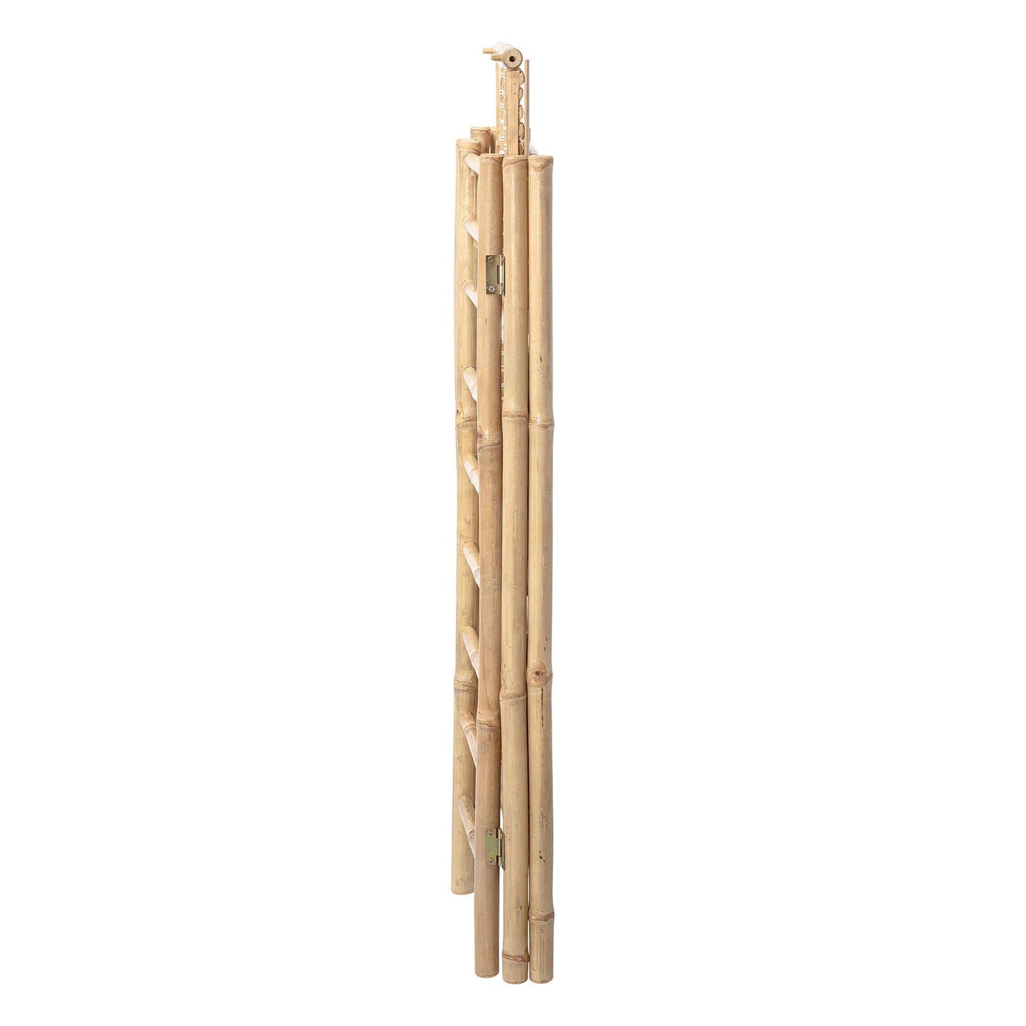 Bamboo Bookcase- Zep - Generosa Home & Living - -