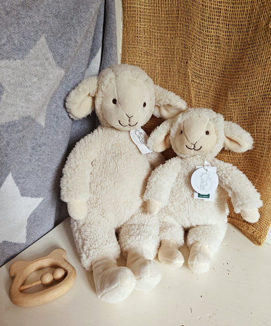 Lamb Leo- 38cm