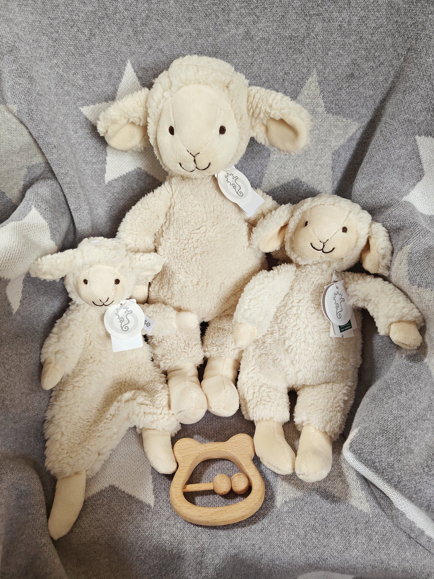 Lamb Leo- 38cm