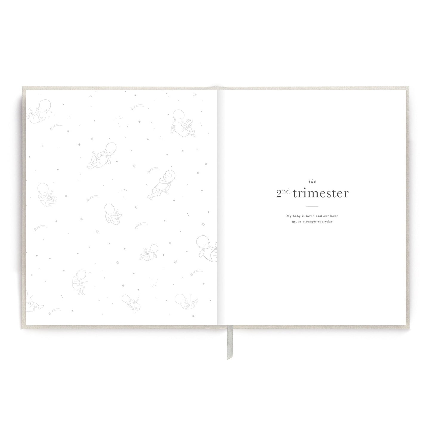 Pregnancy Journal